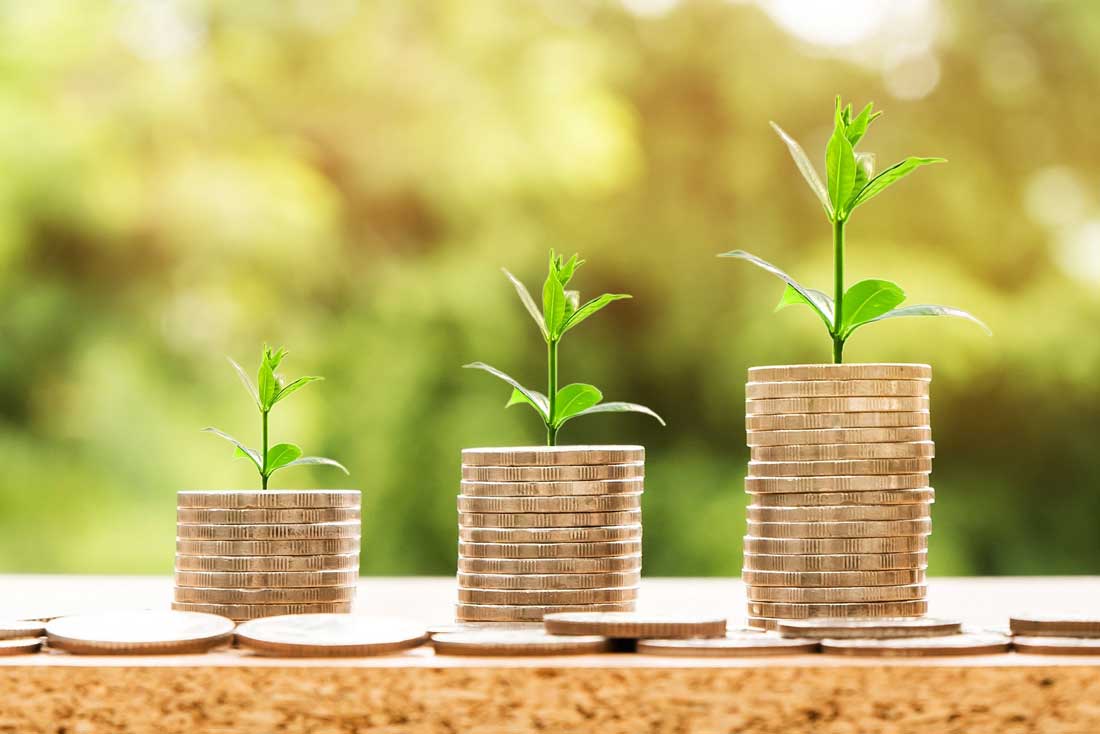 types of irrevocable trusts - coins and small plants