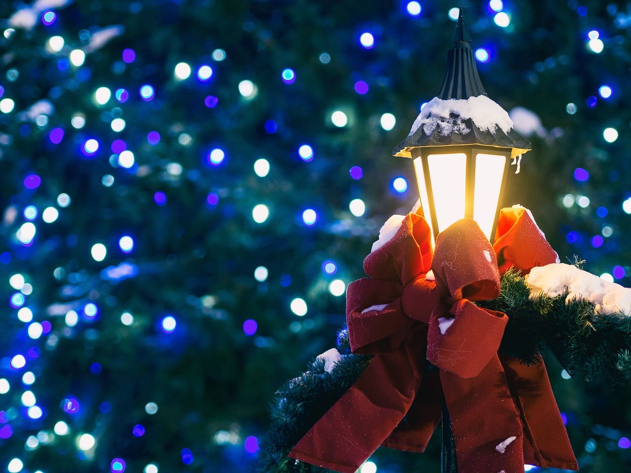christmas lights phoenix - lit Christmas tree with street light and red holiday bow