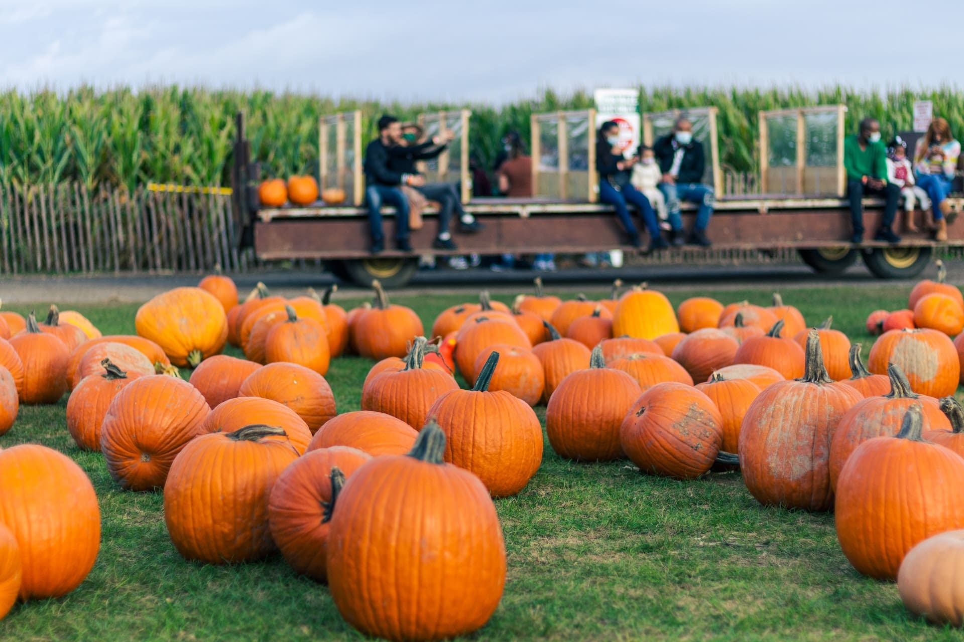 fall festivals in phoenix - family at a pumpkin patch