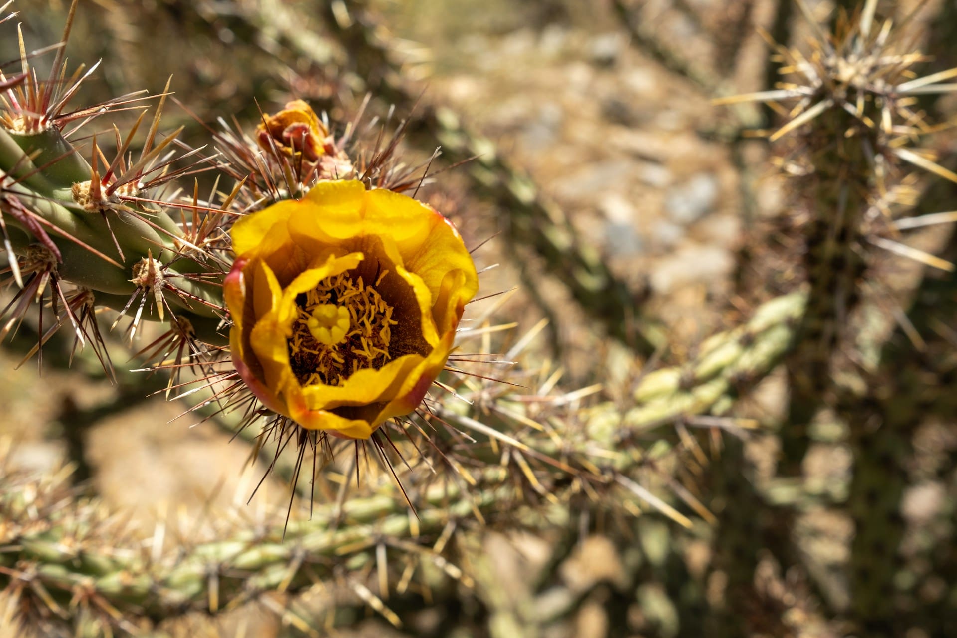 how to save for retirement, is 40 too late to start saving for retirement, building wealth in your 40s