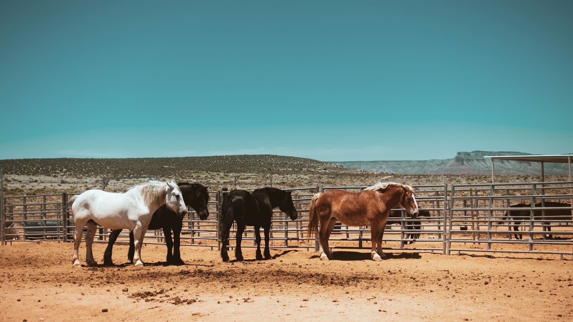 Looking for some wholesome family fun? Here are three family-friendly outdoor events coming up in Arizona this May.