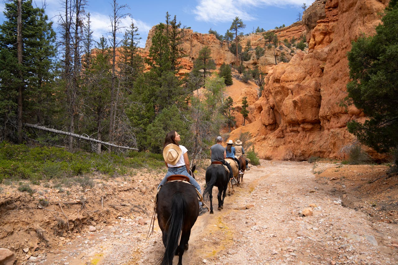 group of people riding on horseback on a desert trail