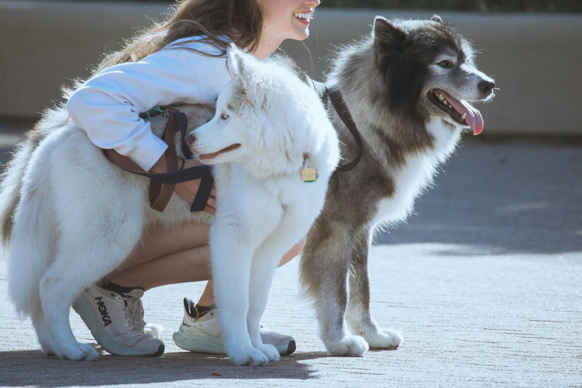 woman and two dogs standing on pavement