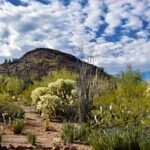 Looking for something fun to do in Chandler? From arts and crafts to live music to bike rides, these family activities and local events are all coming up soon.